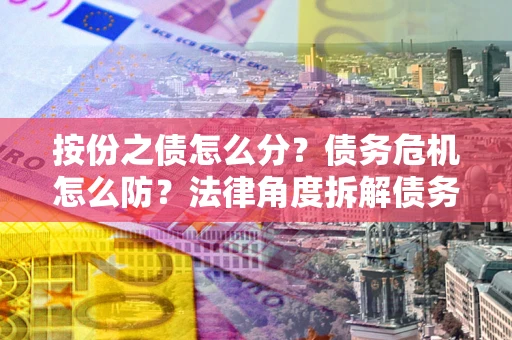 武汉按份之债怎么分？债务危机怎么防？法律角度拆解债务分配与风险自保指南