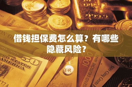 武汉借钱担保费怎么算？有哪些隐藏风险？
