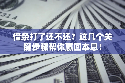 武汉借条打了还不还？这几个关键步骤帮你赢回本息！