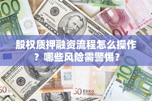 武汉股权质押融资流程怎么操作？哪些风险需警惕？