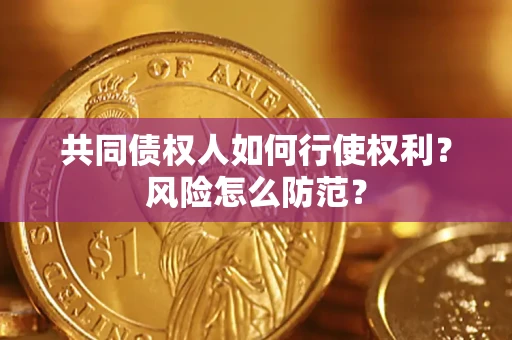 武汉共同债权人如何行使权利？风险怎么防范？
