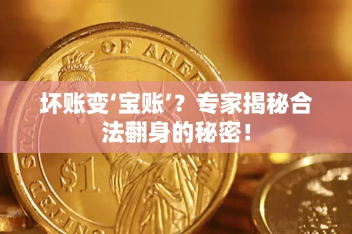 武汉坏账变‘宝账’？专家揭秘合法翻身的秘密！