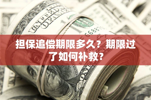 武汉担保追偿期限多久？期限过了如何补救？