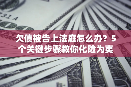 武汉欠债被告上法庭怎么办？5个关键步骤教你化险为夷